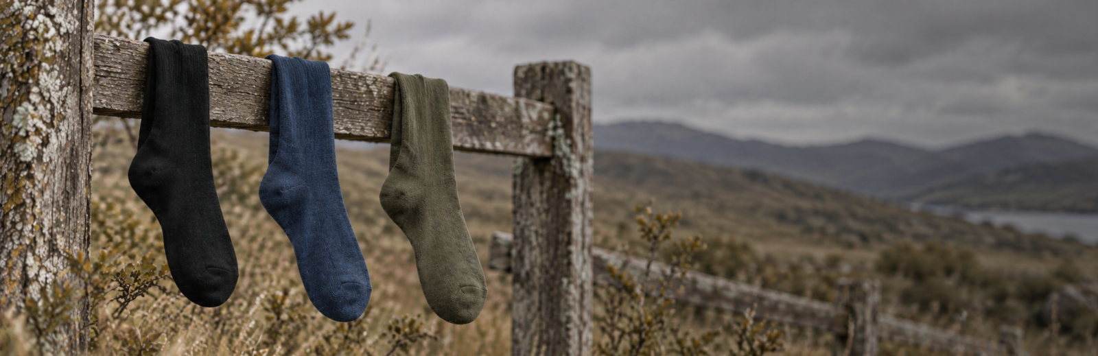 Three knitted socks in black, blue, and green hang over a weathered wooden fence. The rustic scene is set against a backdrop of a leafy tree and an overcast, gray sky.
