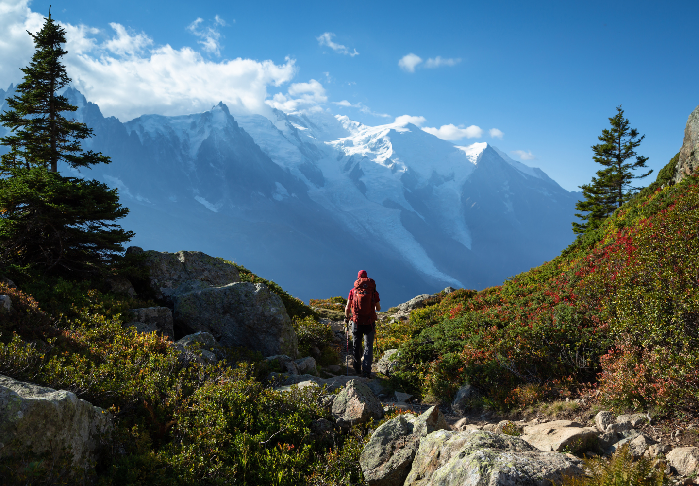 A hiker in a red jacket walks along a rocky mountain trail surrounded by alpine vegetation, with snow-covered peaks and a glacier in the background under a clear blue sky.